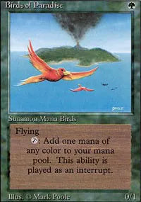 Birds of Paradise - Revised